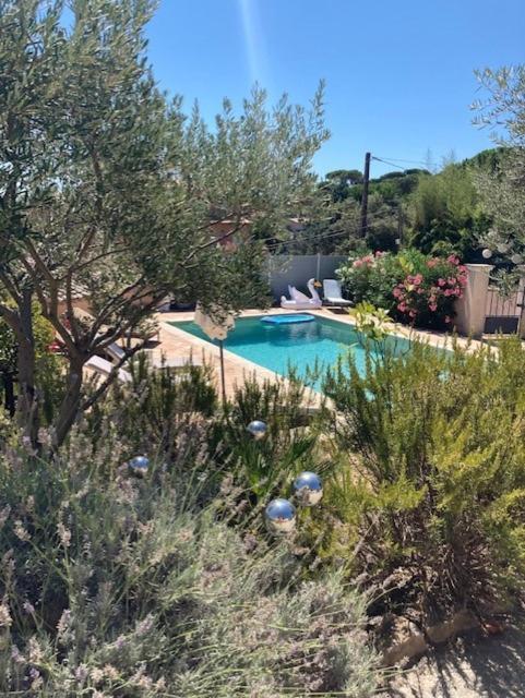 Lone Star House Bed & Breakfast Sainte-Maxime Eksteriør bilde