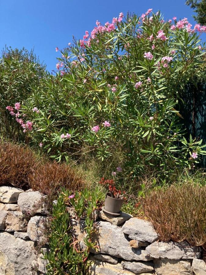 Lone Star House Bed & Breakfast Sainte-Maxime Eksteriør bilde