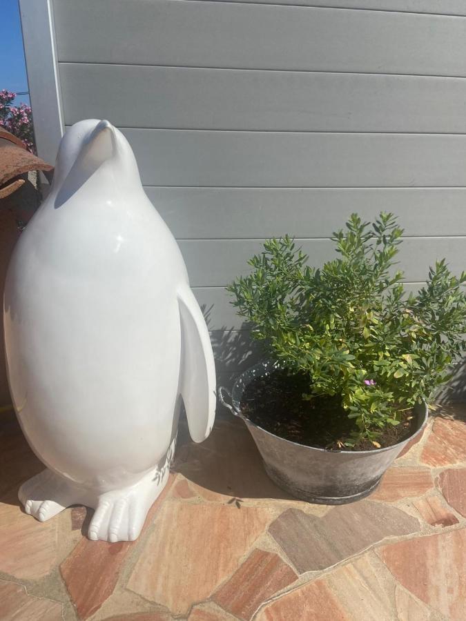 Lone Star House Bed & Breakfast Sainte-Maxime Eksteriør bilde