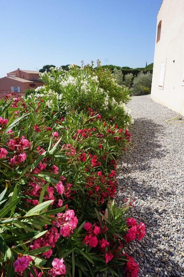 Lone Star House Bed & Breakfast Sainte-Maxime Eksteriør bilde